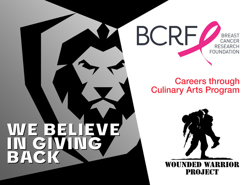 Dalstrong Professional Wide Cheese Grater - Fine - #304 Stainless Steel Blade - G10 Handle Kitchen Shredder - w/Blade Guard - Hard Cheese, Parmesan, Spices, Carrot, Garlic, Ginger - NSF Certified