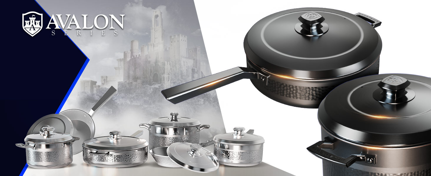 Dalstrong Professional Wide Cheese Grater - Fine - #304 Stainless Steel Blade - G10 Handle Kitchen Shredder - w/Blade Guard - Hard Cheese, Parmesan, Spices, Carrot, Garlic, Ginger - NSF Certified