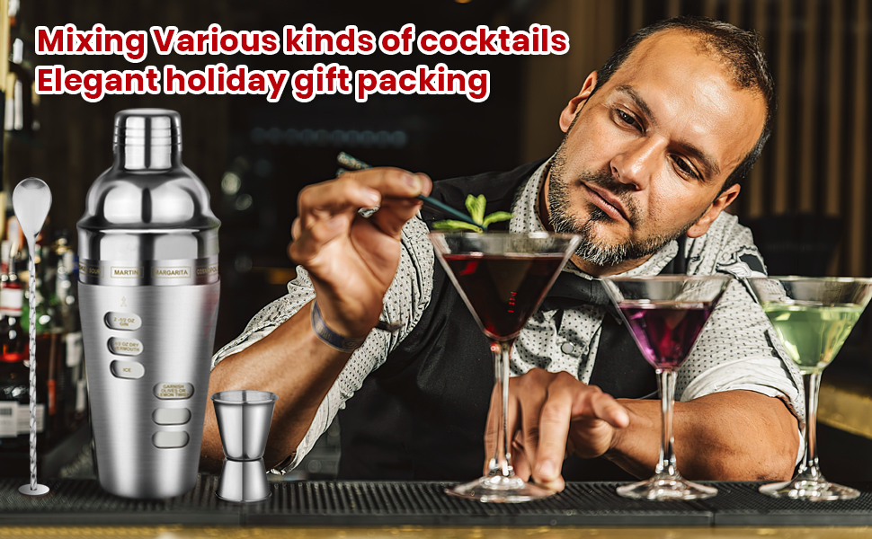 Cocktail Shaker Martini Shaker Set with Recipe, 24 oz Martini Shaker Drink Shaker Drink Mixer Stainless Steel Cocktail Shaker Set Bartender Kit