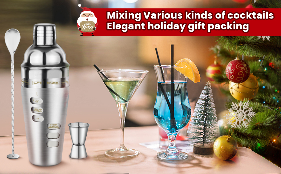 Cocktail Shaker Martini Shaker Set with Recipe, 24 oz Martini Shaker Drink Shaker Drink Mixer Stainless Steel Cocktail Shaker Set Bartender Kit