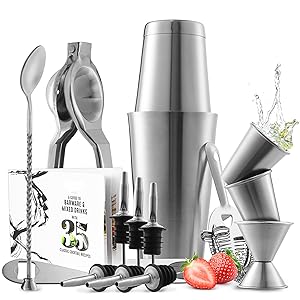 Bar Set Cocktail Shaker Set, Stainless Steel Mixology Bartender Kit, 16 Piece Cocktail Kit, Silver Cocktail Set, Bar Tools: 30oz Martini Shaker, Muddler, Bar Kit Cocktail Book, Jigger and Pourers