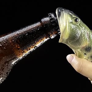 Bass Fish Bottle Opener, Beer Bottle Opener,Creative,Resin,Green