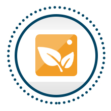 HIWARE Oven-Salf Collapsible Cooling Rack for Baking, 3 Tier 12”x 16.5”, Stainless Steel and Fit Half Sheet, Stackable Wire Cooling Racks for Cookie, Pizza, Cake