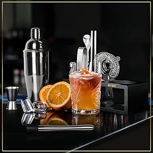 Mixology Bartender Kit with Stand - 15 Piece Bar Tool Set, Silver Bar Set Cocktail Shaker Set for Drink Mixing - Includes Martini Shaker, Jigger, Strainer, Bar Mixer Spoon, Tongs, Opener | Gift Idea