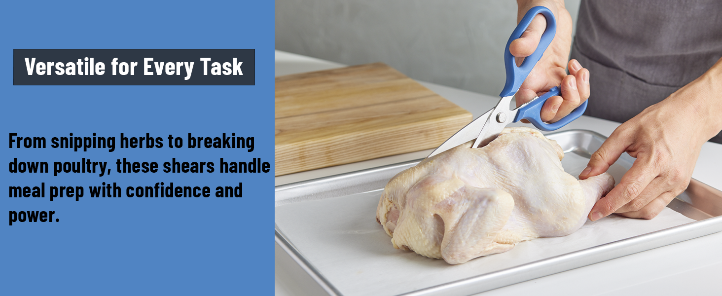 Misen Heavy Duty Kitchen Shears - Stainless Steel, Versatile and Easy Clean Scissors for Meat, Herbs and Veggies - Ambidextrous Comfort Handle - Professional Grade - Blue