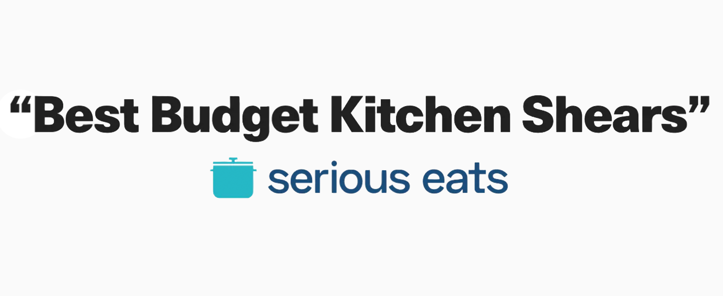 Misen Heavy Duty Kitchen Shears - Stainless Steel, Versatile and Easy Clean Scissors for Meat, Herbs and Veggies - Ambidextrous Comfort Handle - Professional Grade - Blue