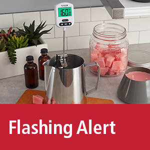 Taylor Programmable Digital Candy and Deep Fry Thermometer with Green Light Alert Display, Long Stem, and Adjustable Pan Clip, White