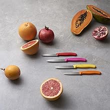 Victorinox REX Straight-Blade Metal Fruit and Vegetable Peeler