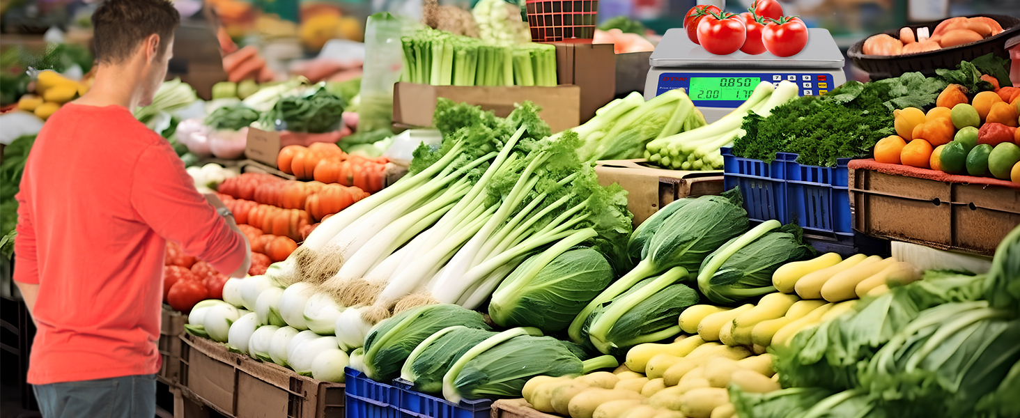 Large Digital Kitchen Scale 30KG Commercial Food Scale 66LB for Baking Bread Meat Stainless Steel Price Computing Scale LCD Display,Prep Counting Scale for Parts and Coins Adapter Included