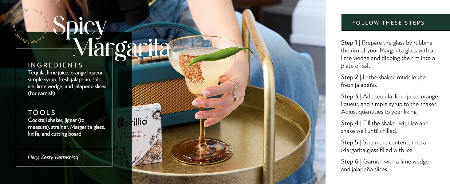 Barillio Elite Mixology Bartender Kit with Stand - Cocktail Shaker Set with Bamboo Stand, Boston Drink Shaker, Mojito Muddler, and Drink Mixer Spoon - 9-Piece Bar Tools Set - Bar Accessories for Home