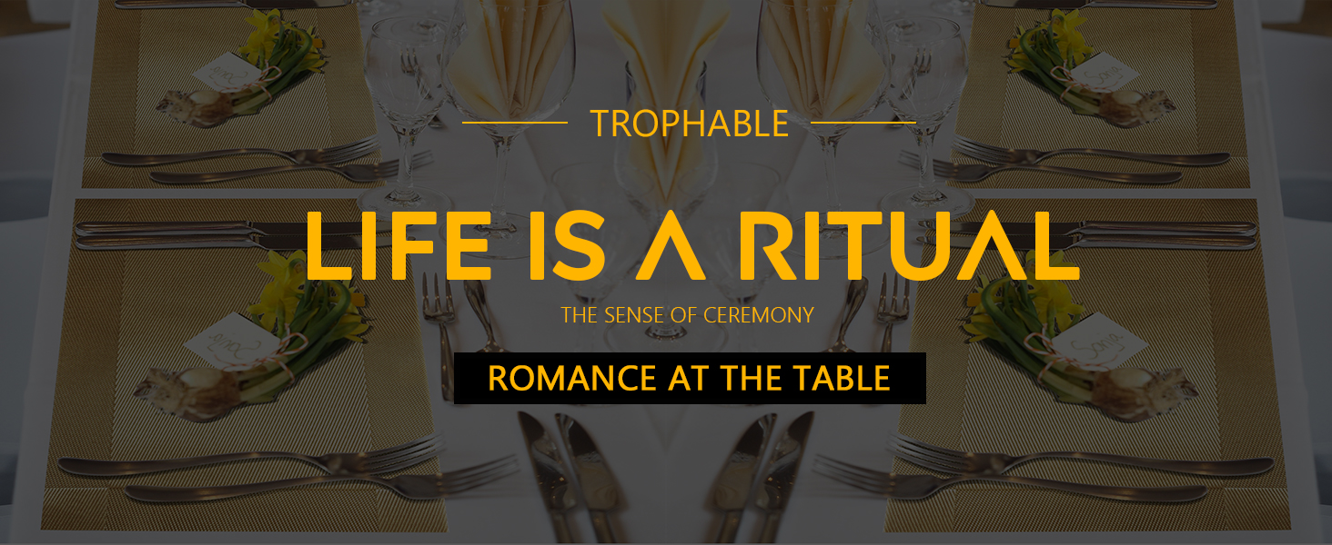 Trophable Placemats Set of 6, Table Placemats Heat Resistant Woven Placemats Washable PVC Place Mats Woven Vinyl Placemats Non-Slip Stain Resistant Kitchen Table Placemats Easy to Clean…