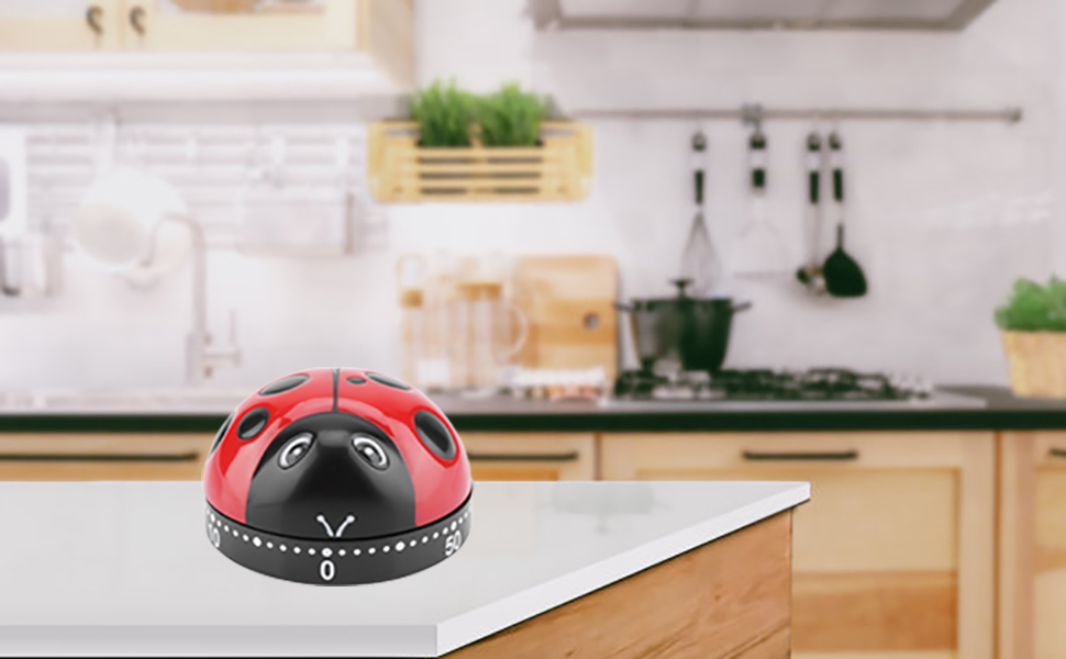 Ladybug Kitchen Timers, Cute Cooking Timer Baking Clock 60 Minute Mechanical Manual Clockwork Alarm No Battery Required for Classroom Bathroom Reading Sports Baking Gifts Game Exercise Office