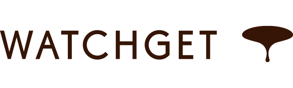 watchget Coffee Sifter - Fine Mesh 250m Stainless Steel Coffee Powder Sieve - Non-slip Base, Silver