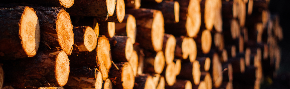 Miusco Non-Stick Silicone Cooking Utensils Set with Natural Acacia Hard Wood Handle, 5 Piece, High Heat Resistant (Green)