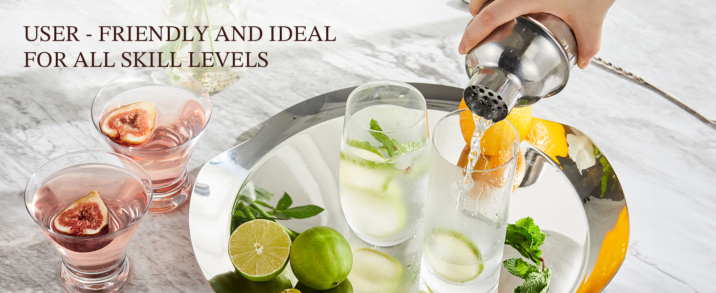 KITESSENSU Cocktail Shaker Set Bartender Kit, 6-Piece Silver Bar Set with Stand, Bar kit with Essential Bar Accessory Tools: Martini Shaker, Jigger, Strainer, Bar Spoon, Tongs, Opener