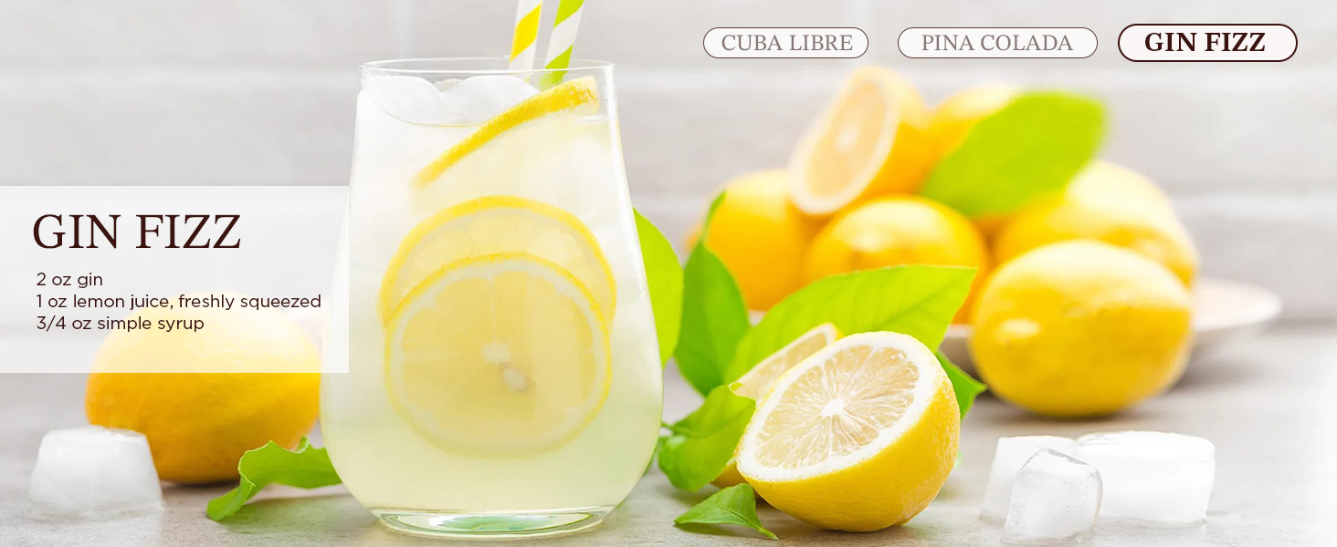 KITESSENSU Cocktail Shaker Set Bartender Kit, 6-Piece Silver Bar Set with Stand, Bar kit with Essential Bar Accessory Tools: Martini Shaker, Jigger, Strainer, Bar Spoon, Tongs, Opener