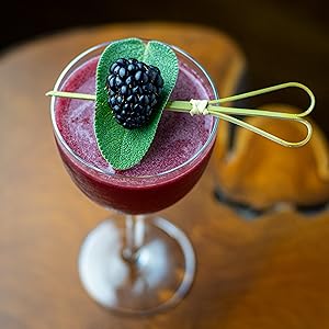 Julep Strainer: Stainless Steel Cocktail Strainer for Home or Commercial Bar