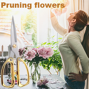 Premium Kitchen Shears 2-Pack Heavy Duty Poultry & Meat Scissors, Bone Shears for Cooking