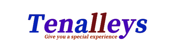 2 Pcs Stainless Steel Ice Cream Scoop, Heavy Duty Ice Cream Scooper with Trigger Metal Icecream Scoop Spoon for Fruit Scoop, Sundaes, Sorbet, Icecream (Silver)