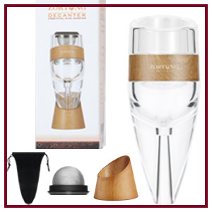 Wine Aerator Decanter Pourer with Strainer for Sediment Stand Travel Bag Diffuser Airarator Filter Aireators Pour Airrater for Red and White Wine Christmas Idea Gifts