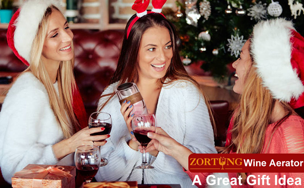 Wine Aerator Decanter Pourer with Strainer for Sediment Stand Travel Bag Diffuser Airarator Filter Aireators Pour Airrater for Red and White Wine Christmas Idea Gifts