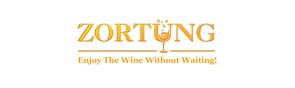 Wine Aerator Decanter Pourer with Strainer for Sediment Stand Travel Bag Diffuser Airarator Filter Aireators Pour Airrater for Red and White Wine Christmas Idea Gifts