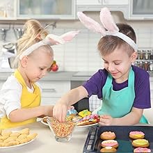 Easter Cookie Cutters, 5 Pieces Chick Carrot Egg Bunny Rabbite Shapes Metal Cookie Cutters Stainless Steel Sets Holiday Themed Baking Kit