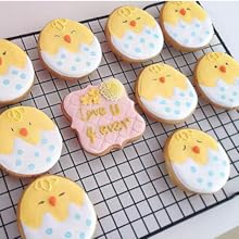 Easter Cookie Cutters, 5 Pieces Chick Carrot Egg Bunny Rabbite Shapes Metal Cookie Cutters Stainless Steel Sets Holiday Themed Baking Kit