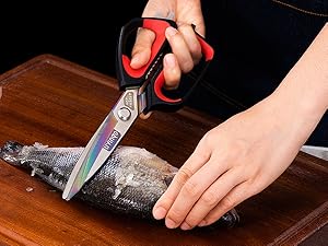LIVINGO Heavy Duty Kitchen Shears - Titanium Coated Hot Forged Sharp Multipurpose Stainless Steel Utility Shears for Household Culinary Food Cutting Chicken Meat Cooking, Dishwasher Safe, 9.5 Inch