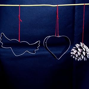 5 Pieces Circle Biscuit Cutter,Professional Stainless Steel Round Cookies Mold Tool with Handle for Baking GIFT Package