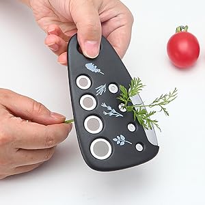 Pisol Kitchen Unique Gadgets Set 6 Pieces, Space Saving, Cheese Grater, Bottle Opener, Fruit Vegetable Peeler, Pizza Cutter, Garlic Ginger Grinder, Herb Stripper Gift Set