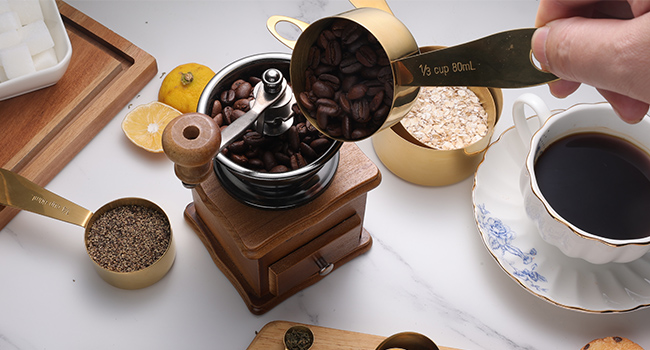 GuDoQi Measuring Cups and Spoons Set of 9, Stainless Steel Handle with Metric and US Measurements, Golden Polished Finish, Dry & Liquid Ingredient Measuring Cup for Cooking and Baking