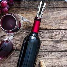 Wine Aerator Stainless Steel Wine Bottle Pourers and Stoppers 2-in-1 Steel Champagne Sealed Cap Stopper Wine Spout Pourer for Whiskey, Tequila, Other Liquor Wine Gift Set(2PCS)