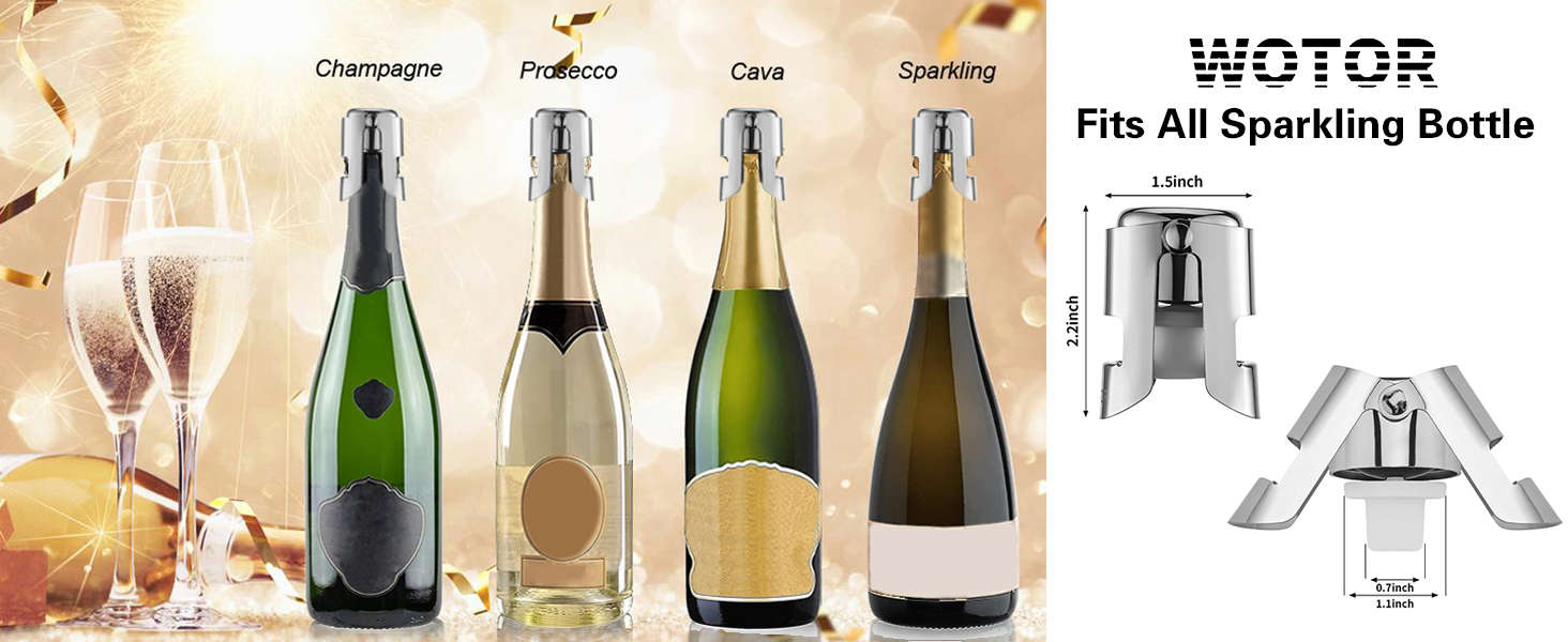 WOTOR Champagne Stoppers Stainless Steel, Prosecco Bottle Stopper with Food Grade Silicone, Reusable Champagne Cork & Saver, Leak proof Keep Fresh (Silver, 2 Pack)