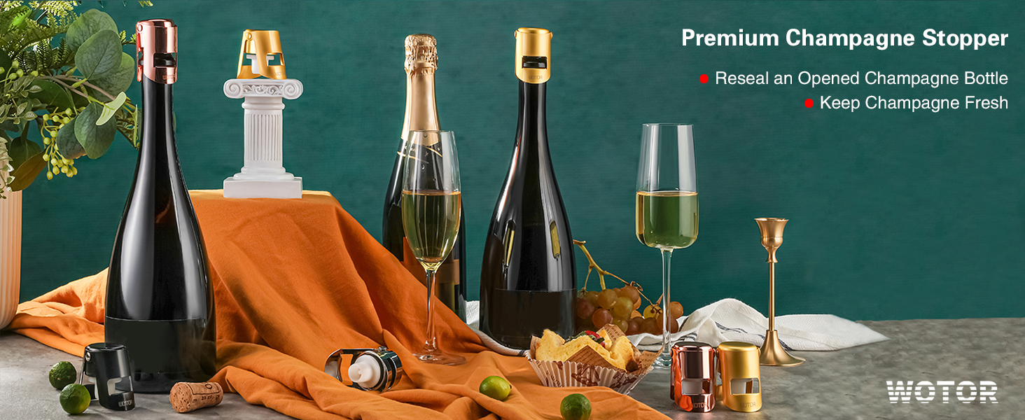 WOTOR Champagne Stoppers Stainless Steel, Prosecco Bottle Stopper with Food Grade Silicone, Reusable Champagne Cork & Saver, Leak proof Keep Fresh (Silver, 2 Pack)