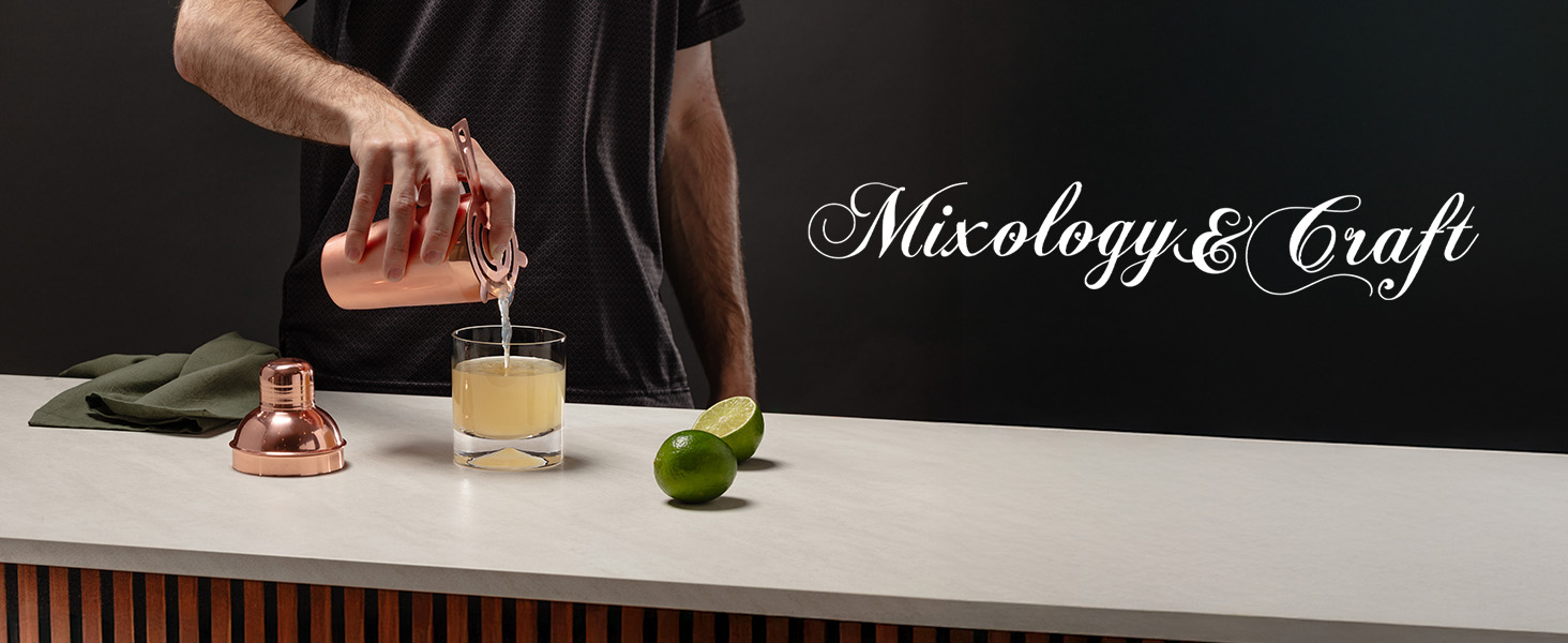 Modern Mixology Cocktail Shaker Set - 8 Piece Bartender Kit on Quality Pine Stand | Complete Cocktail Kit Gift Set | Top Bartender Gifts for Men | Leak Proof Design (Gold)