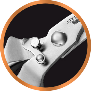 Heavy Duty Poultry Shears - Professional Stainless Steel Kitchen Scissors for Bone, Chicken, Meat, Fish & Vegetables - Spring Loaded (Stainless Steel handles)