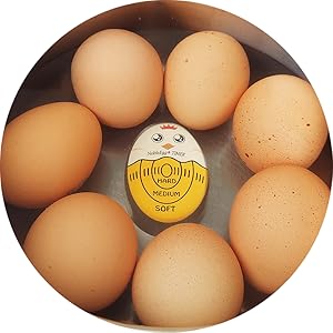 NobleEgg Egg Timer for Boiling Eggs, Soft Medium Hard Boiled Egg Timer That Changes Color When Done, No BPA, Basics line, Yellow, Pack of 2