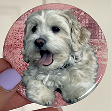 GNIEMCKIN 50 PCS 2.56 in Sublimation Auto Coasters, DIY Personalization Option, Keep Car from Cold Drink Spills