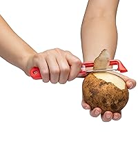 Dreamfarm Ozest Self-Cleaning POP-Button Zester for Fine, Fluffy Citrus Zest, Cheese, Nut, & Spices with Non-Slip Silicone Foot - 1mm Zester, Black/Green