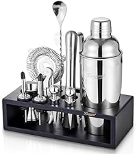 KITESSENSU Cocktail Shaker Set with Carry Case: Vacuum Insulated Martini Shaker with Built-in Strainer, 2 Martini Glasses, Measuring Jigger, Bar Mixing Spoon & Cocktail Recipes, Travel Bar Tool Set