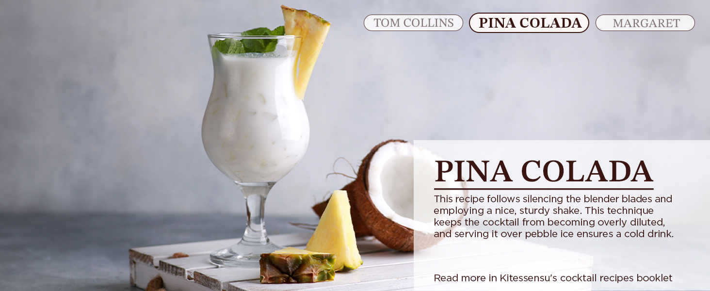 KITESSENSU Cocktail Shaker Set with Carry Case: Vacuum Insulated Martini Shaker with Built-in Strainer, 2 Martini Glasses, Measuring Jigger, Bar Mixing Spoon & Cocktail Recipes, Travel Bar Tool Set