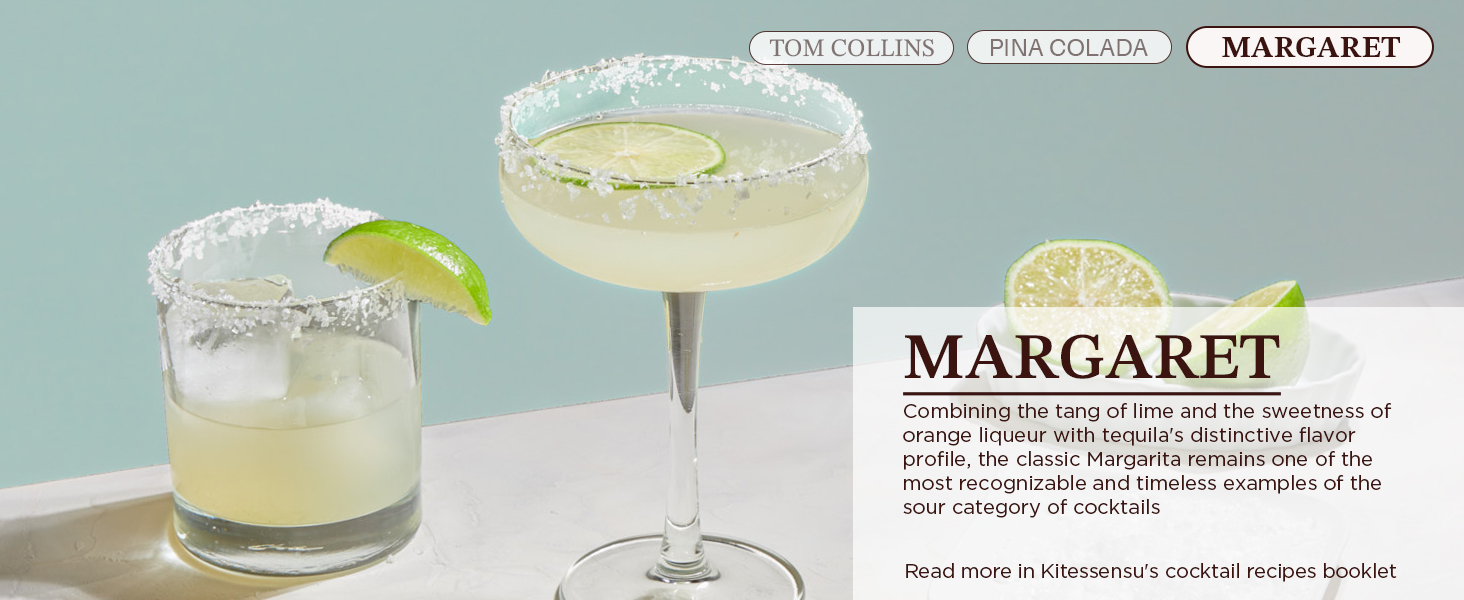 KITESSENSU Cocktail Shaker Set with Carry Case: Vacuum Insulated Martini Shaker with Built-in Strainer, 2 Martini Glasses, Measuring Jigger, Bar Mixing Spoon & Cocktail Recipes, Travel Bar Tool Set