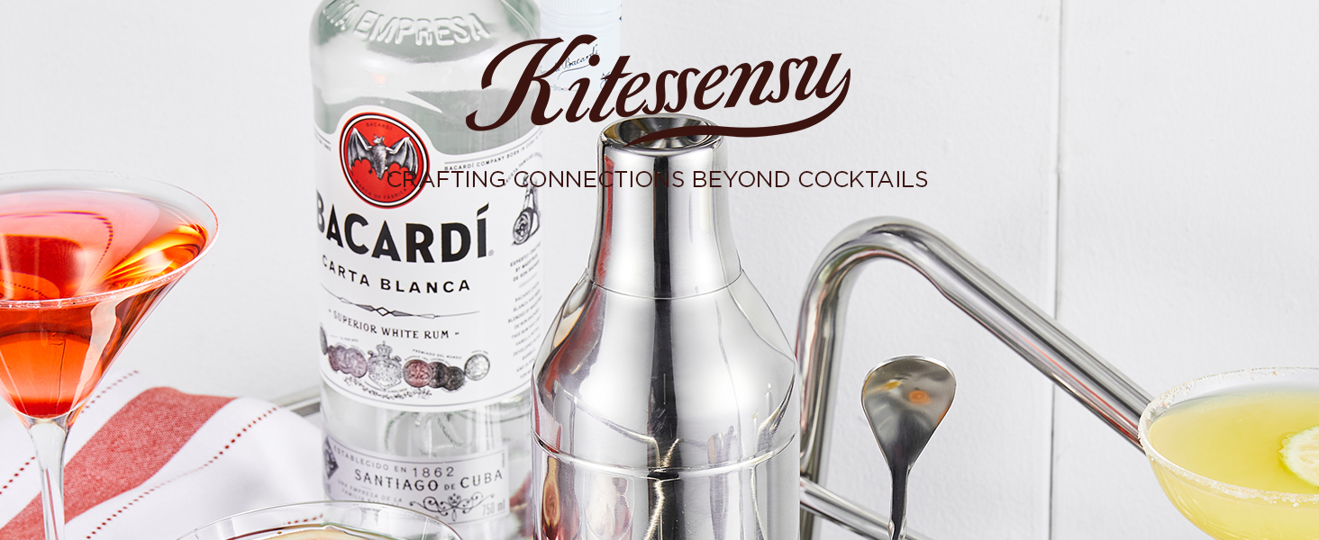 KITESSENSU Cocktail Shaker Set with Carry Case: Vacuum Insulated Martini Shaker with Built-in Strainer, 2 Martini Glasses, Measuring Jigger, Bar Mixing Spoon & Cocktail Recipes, Travel Bar Tool Set