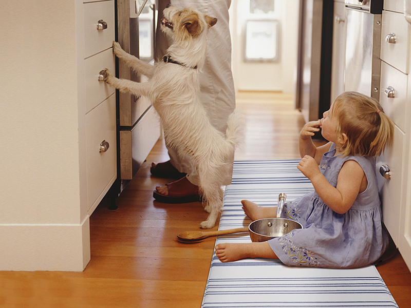 FRESHMINT Farmhouse Stripe Anti-Fatigue Kitchen Mat Set of 2, Cushioned Foam Kitchen Mats for Floor, Waterproof Non Slip Comfort Mat, Modern Kitchen Rug for Kitchen Decor, Sink, Laundry, Office