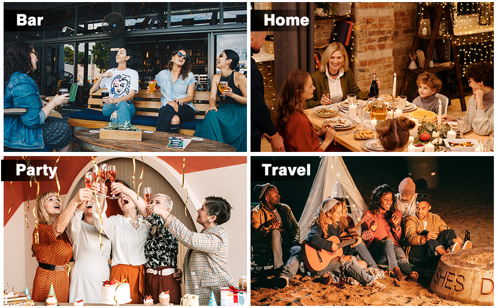 Cocktail Shaker Set Bartender Kit : 15-Piece Bar Tool Set with Acrylic Stand Bars Set with All Practical Bar Accessories, for Drink Mixing, Bar, Home, Lounge & Party, Silver