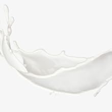 Coloch 5Pcs Ceramic Measuring Spoons in Pot, Cactus Shape Baking Measuring Spoons and Cup Decorative Cactus Figurine Measuring Spoon Set for Baking, Milk, Sugar, Salt