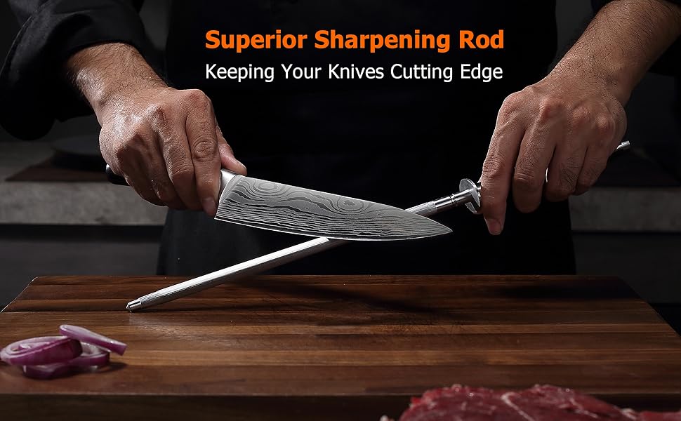 PAUDIN Honing Rod, Knife Sharpener Rod, 10 Inch Honing Steel, Professional Kitchen Knife Sharpener, High Carbon Knife Sharpening Steel with Ergonomic Pakkawood Handle for All Chef Knives