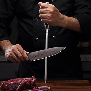 PAUDIN Honing Rod, Knife Sharpener Rod, 10 Inch Honing Steel, Professional Kitchen Knife Sharpener, High Carbon Knife Sharpening Steel with Ergonomic Pakkawood Handle for All Chef Knives