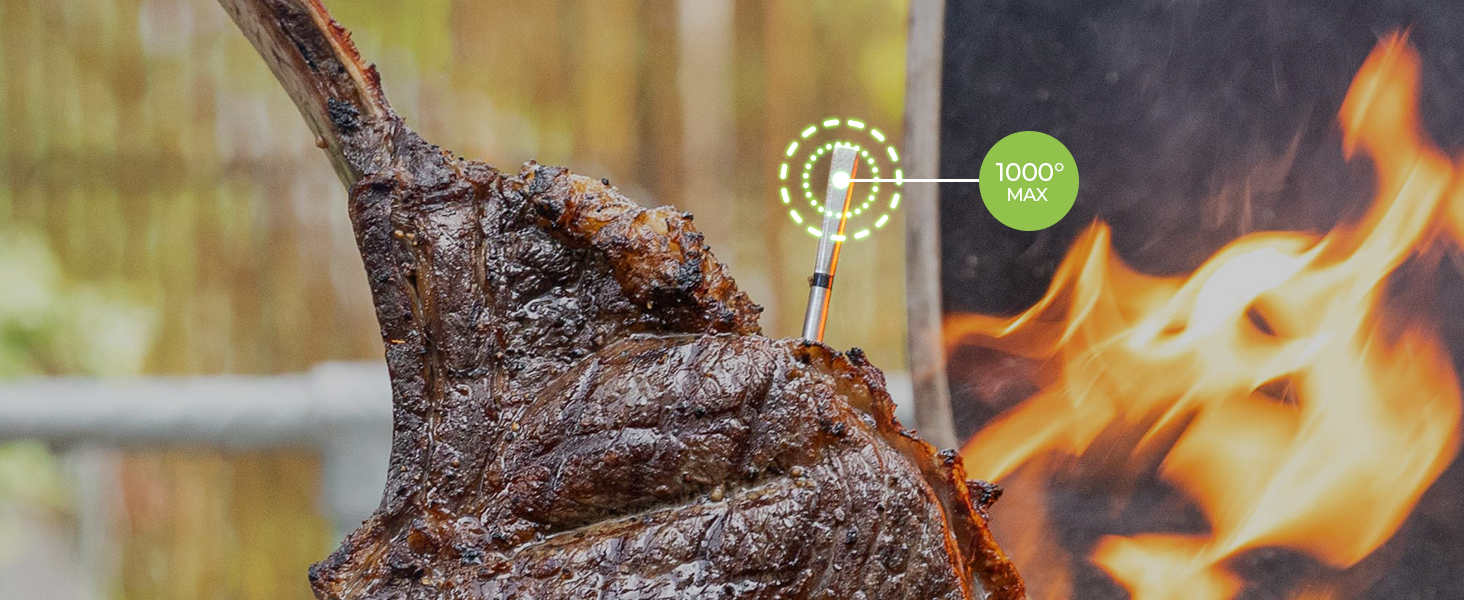 MEATER Pro: Smart Bluetooth Wireless Meat Thermometer Digital | 1000°F Heat Resistance | Long Range | Certified Accuracy | BBQ, Oven, Grill, Smoker, Air Fryer, Deep Fryer